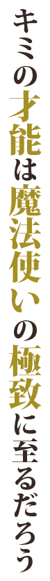 魔導の極致に至る、主人公を綴る物語。