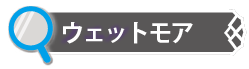 ウェットモア